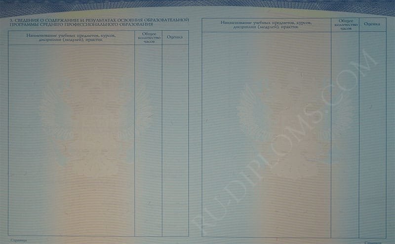 Диплом техникума или колледжа 2014-2025 НОВОГО ОБРАЗЦА 