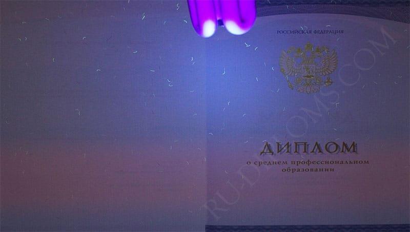 Диплом техникума или колледжа 2014-2025 НОВОГО ОБРАЗЦА 