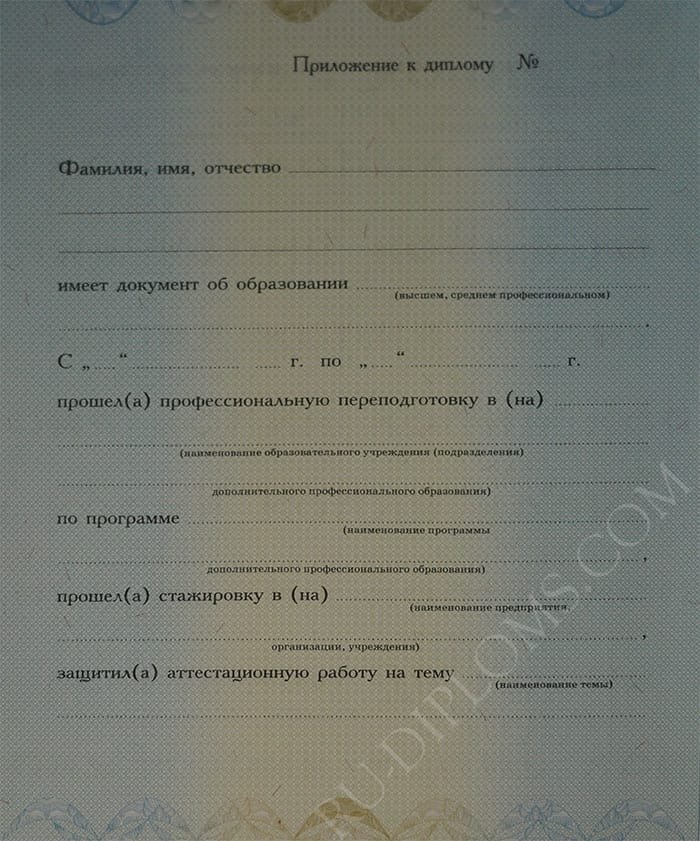 Диплом о переподготовке 2010 года 