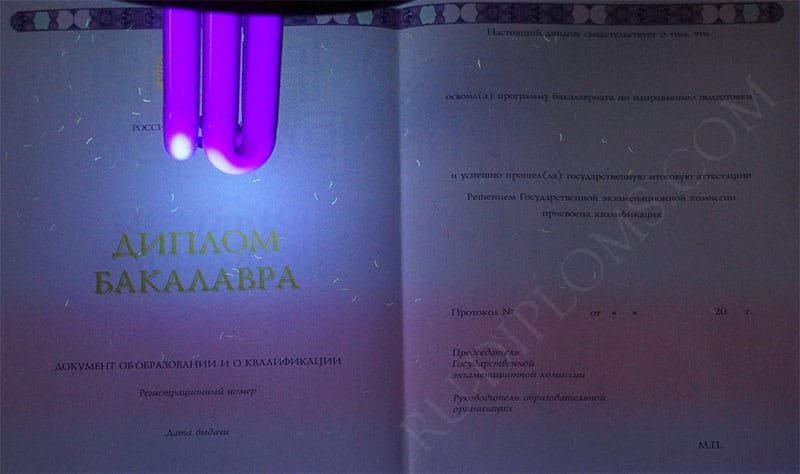 Диплом бакалавра 2014-2025 НОВОГО ОБРАЗЦА Москва